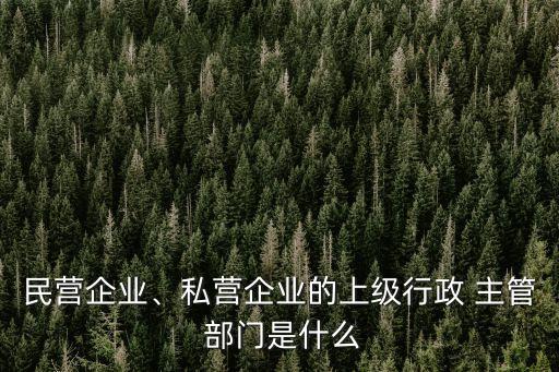 民營(yíng)企業(yè)、私營(yíng)企業(yè)的上級(jí)行政 主管 部門是什么
