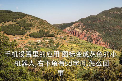 手機(jī)設(shè)置里的應(yīng)用 圖標(biāo)變成灰色的小 機(jī)器人,右下角有sd字母,怎么回事