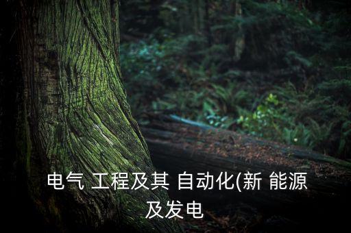  電氣 工程及其 自動化(新 能源及發(fā)電