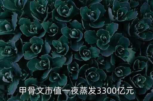 甲骨文市值一夜蒸發(fā)3300億元