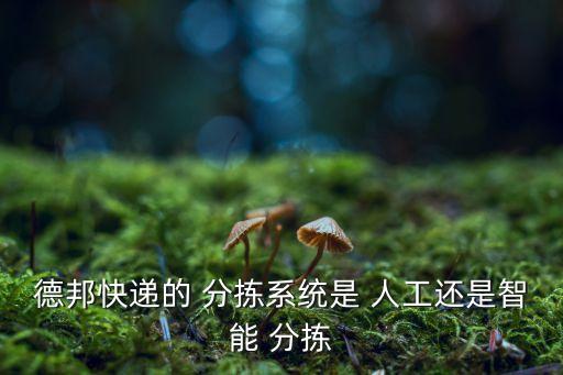 德邦快遞的 分揀系統(tǒng)是 人工還是智能 分揀
