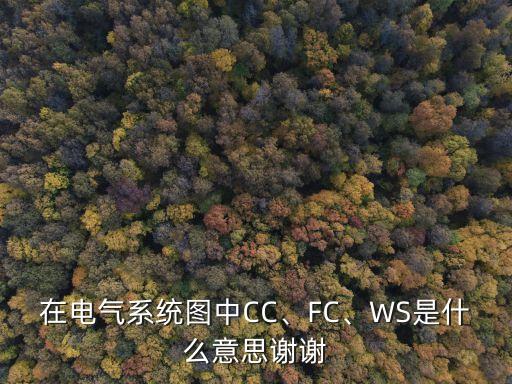在電氣系統(tǒng)圖中CC、FC、WS是什么意思謝謝