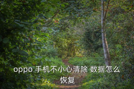 oppo 手機不小心清除 數(shù)據(jù)怎么 恢復