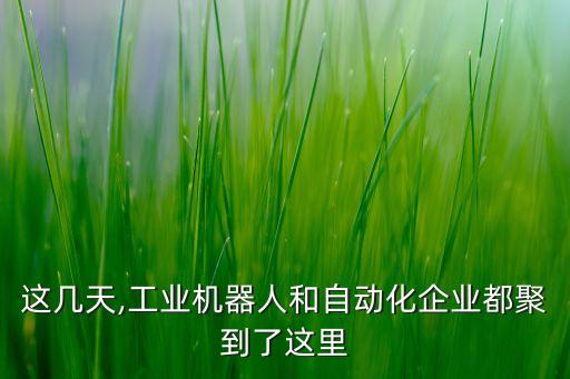 這幾天,工業(yè)機(jī)器人和自動(dòng)化企業(yè)都聚到了這里