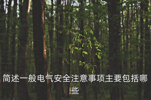 簡述一般電氣安全注意事項主要包括哪些