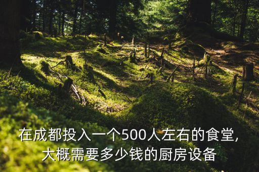 在成都投入一個500人左右的食堂,大概需要多少錢的廚房設(shè)備