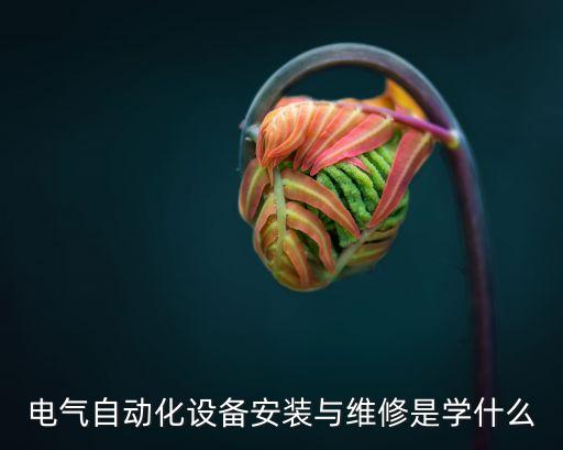 電氣自動(dòng)化設(shè)備安裝與維修是學(xué)什么
