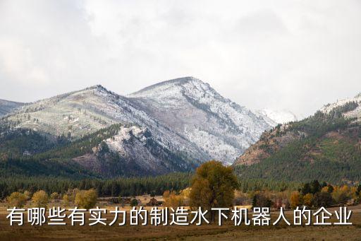 有哪些有實(shí)力的制造水下機(jī)器人的企業(yè)