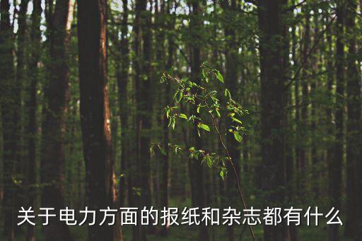 關(guān)于電力方面的報(bào)紙和雜志都有什么