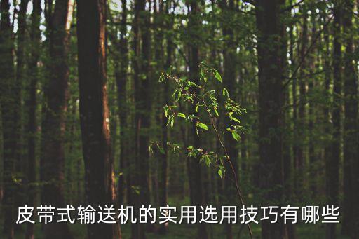 皮帶式輸送機(jī)的實(shí)用選用技巧有哪些