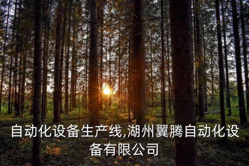 湖州自動化設(shè)備生產(chǎn)線,湖州翼騰自動化設(shè)備有限公司