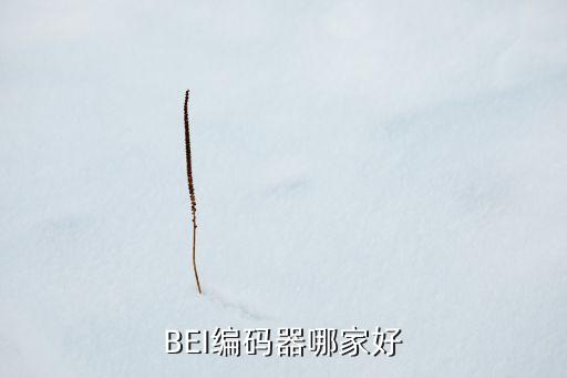 BEI編碼器哪家好