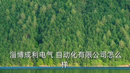  淄博成利電氣 自動(dòng)化有限公司怎么樣