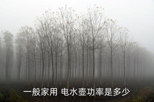 一般家用 電水壺功率是多少