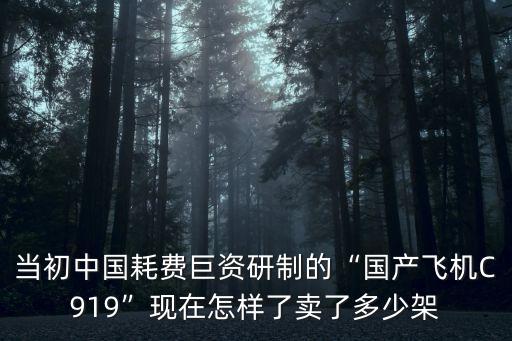 當(dāng)初中國(guó)耗費(fèi)巨資研制的“國(guó)產(chǎn)飛機(jī)C919”現(xiàn)在怎樣了賣了多少架