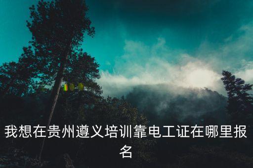 遵義專業(yè)自動化培訓(xùn),貴州遵義培訓(xùn)考電工證哪里可以報名?