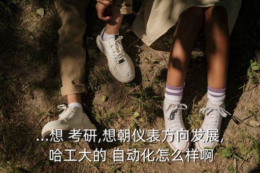 ...想 考研,想朝儀表方向發(fā)展, 哈工大的 自動(dòng)化怎么樣啊