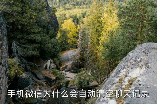 微信 正在自動清理,微信自動清理怎么進(jìn)行?