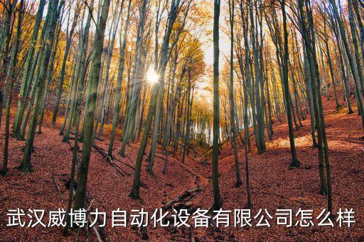 武漢自動(dòng)化機(jī)設(shè)備,怎么樣?裕仁自動(dòng)化設(shè)備有限公司答復(fù)你!