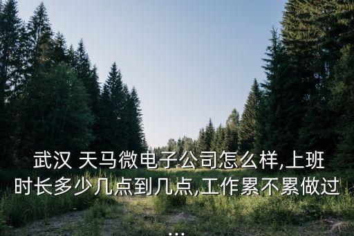 武漢天馬自動(dòng)化設(shè)備技術(shù)員,廈門(mén)天馬微設(shè)備技術(shù)員怎么樣