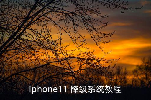 ios 11 降級(jí) 數(shù)據(jù),iOS降級(jí)能保留數(shù)據(jù)嗎