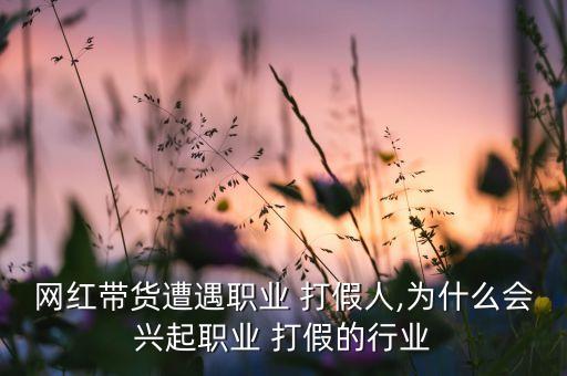 網(wǎng)紅帶貨遭遇職業(yè) 打假人,為什么會興起職業(yè) 打假的行業(yè)