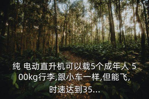 純 電動直升機(jī)可以載5個成年人 500kg行李,跟小車一樣,但能飛,時速達(dá)到35...