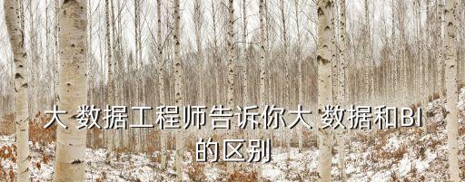 大 數(shù)據(jù)工程師告訴你大 數(shù)據(jù)和BI的區(qū)別