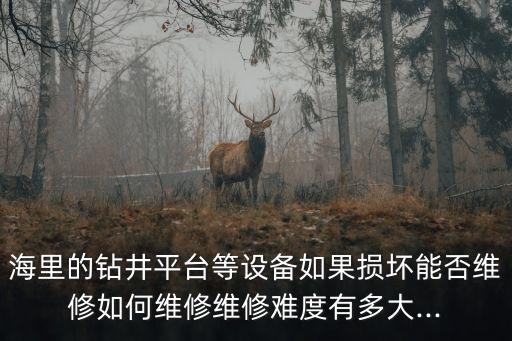 海里的鉆井平臺等設(shè)備如果損壞能否維修如何維修維修難度有多大...
