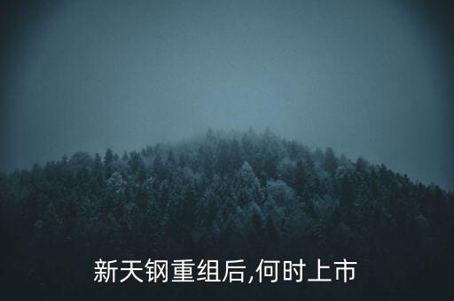新天鋼重組后,何時上市