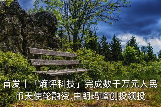深度數(shù)據(jù)天使輪,什么是天使輪?