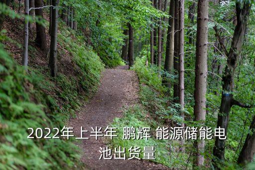 2022年上半年 鵬輝 能源儲(chǔ)能電池出貨量