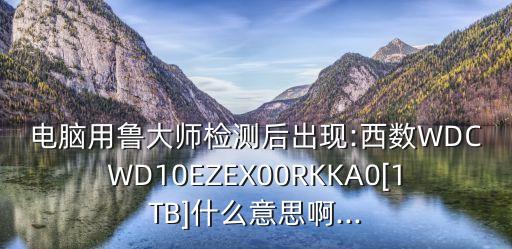 電腦用魯大師檢測后出現(xiàn):西數(shù)WDCWD10EZEX00RKKA0[1TB]什么意思啊...