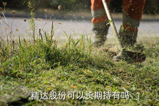  精達(dá)股份可以長(zhǎng)期持有嗎