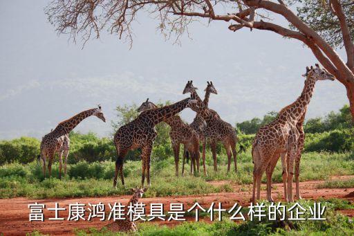 富士康鴻準(zhǔn)模具是個(gè)什么樣的企業(yè)