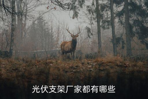 光伏支架廠家都有哪些