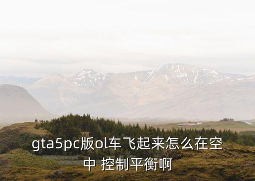gta5pc版ol車(chē)飛起來(lái)怎么在空中 控制平衡啊