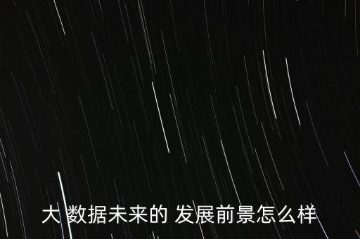 大 數(shù)據(jù)未來(lái)的 發(fā)展前景怎么樣