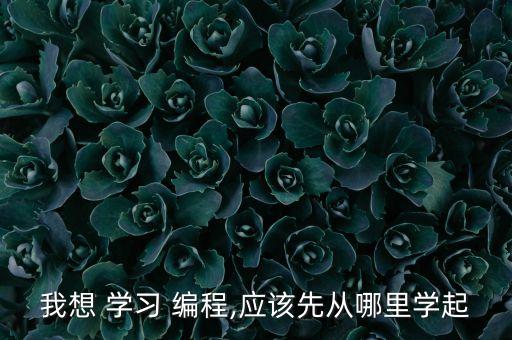 我想 學(xué)習(xí) 編程,應(yīng)該先從哪里學(xué)起