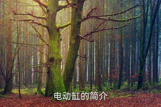工業(yè)自動(dòng)化設(shè)備用電機(jī),工業(yè)自動(dòng)化設(shè)備有哪些?