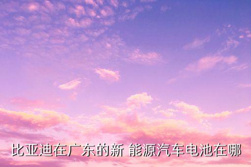 珠海鵬輝能源有限公司自動化技術(shù)
