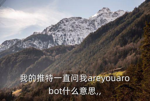我的推特一直問我areyouarobot什么意思,,