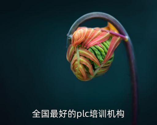 全國(guó)最好的plc培訓(xùn)機(jī)構(gòu)
