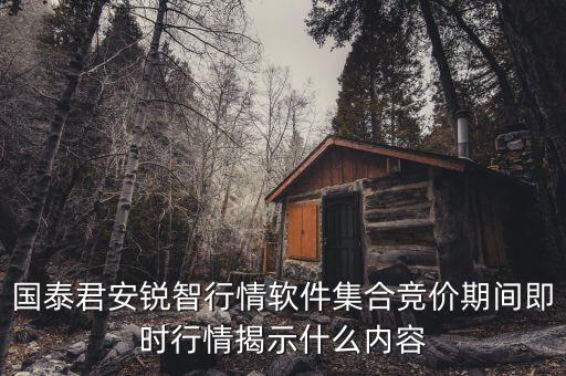 國泰君安銳智行情軟件集合競價(jià)期間即時(shí)行情揭示什么內(nèi)容