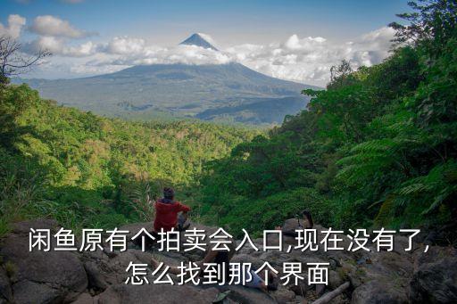 閑魚(yú)拍賣(mài)網(wǎng)站數(shù)據(jù),閑魚(yú)怎么拍賣(mài)?