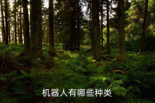百度機(jī)器人有哪些,關(guān)于機(jī)器人你必須知道的事