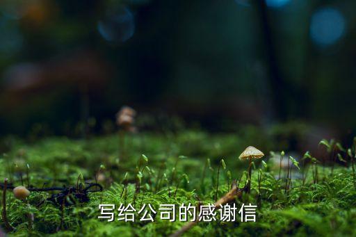 寫給公司的感謝信