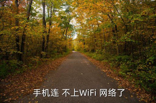  手機(jī)連 不上WiFi 網(wǎng)絡(luò)了