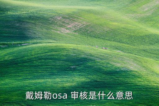 戴姆勒osa 審核是什么意思