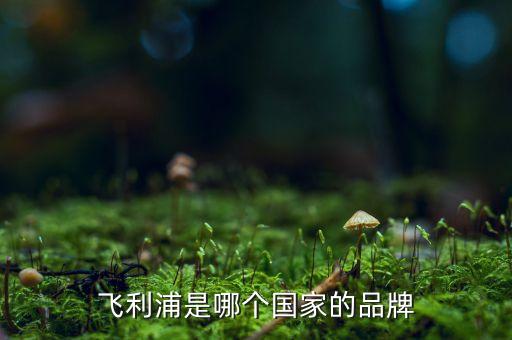 飛利浦是哪個國家的品牌